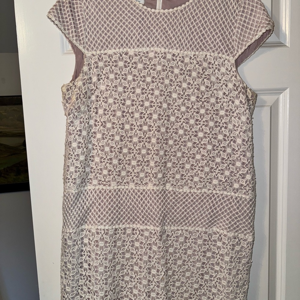 Elegant Lace Overlay Dress